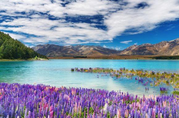 Te Anau Manapouri Lake Hotel Екстериор снимка